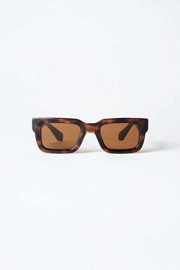 CHIMI 05 Tortoise
